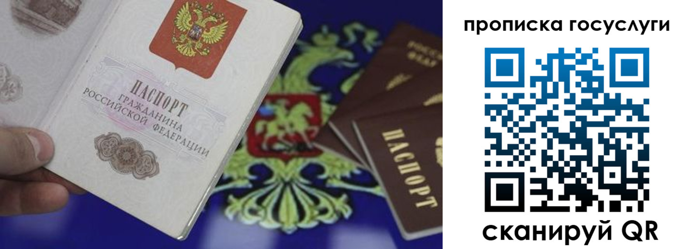прописка для школы в Ипатово